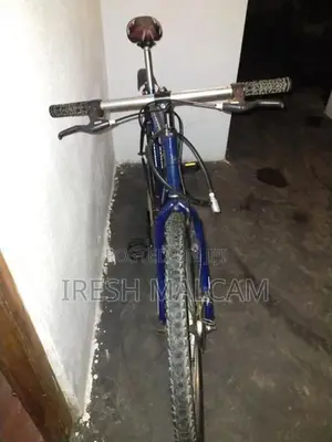 Mountain Bicycle
