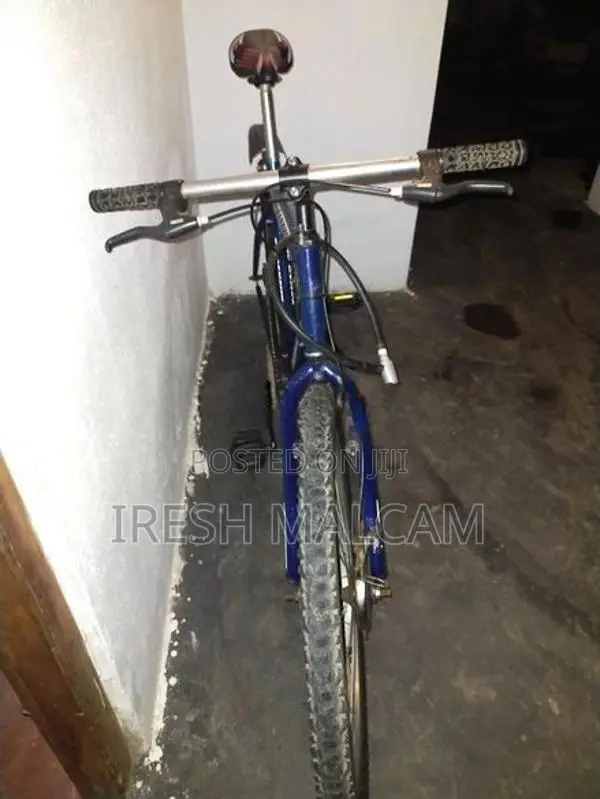 Mountain Bicycle