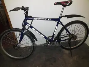 Mountain Bicycle