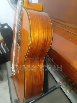 YG-110 Classical Guitar