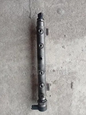 Hyundai Santa Fe Diesel Injector Rail