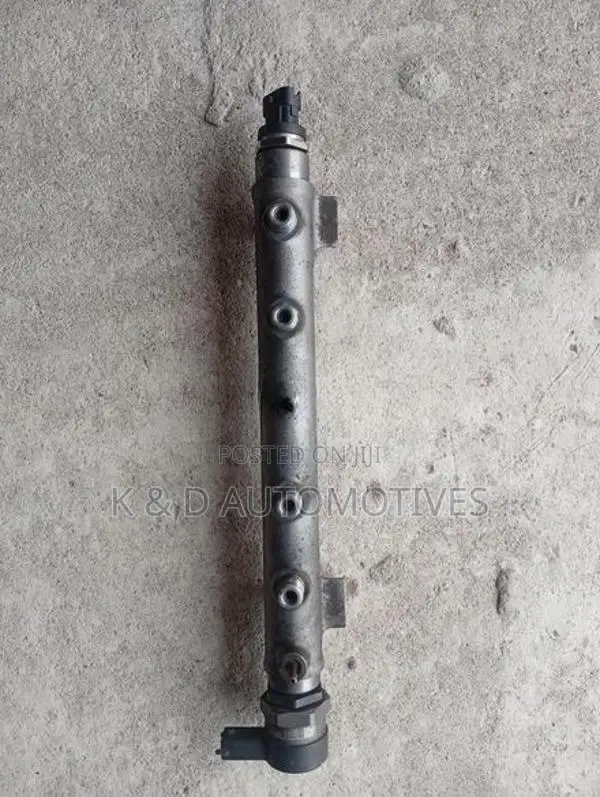 Hyundai Santa Fe Diesel Injector Rail
