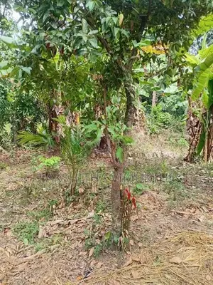Land for Sale in Ganemulla