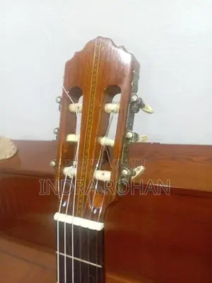 YG-110 Classical Guitar