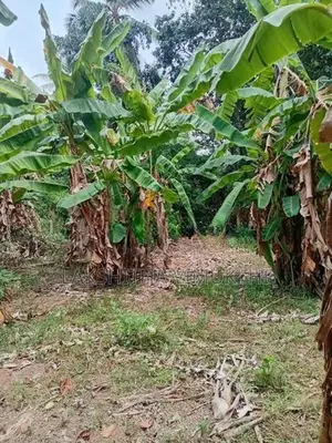 Land for Sale in Ganemulla