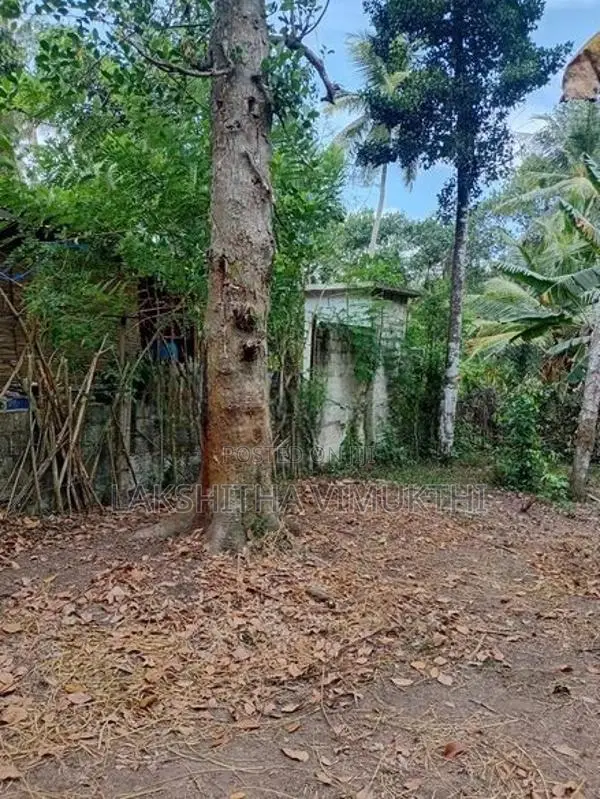 Land for Sale in Ganemulla