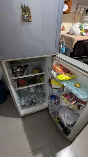 Samsung Fridge