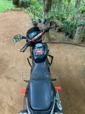 Bajaj Pulsar 150 2015