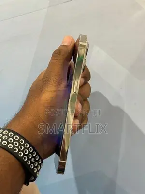 Apple iPhone 13 Pro (Used)