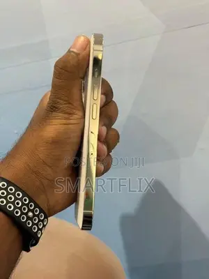 Apple iPhone 13 Pro (Used)