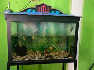 Fish Tank