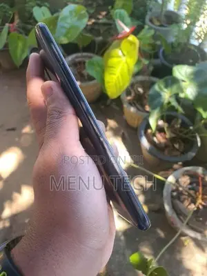 Samsung Galaxy M31 (Used)