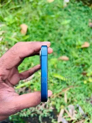 Apple iPhone 12 (Used)