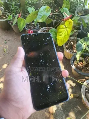 Samsung Galaxy M31 (Used)