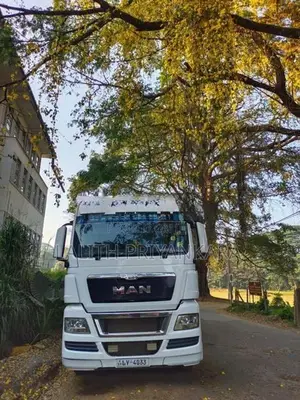 MAN TGX 480