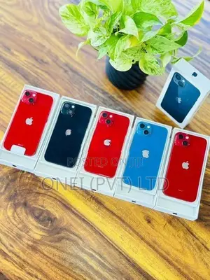 Apple iPhone 13 256GB (Used)