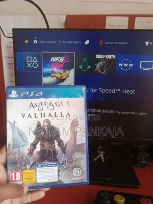 Assassin's Creed Valhalla PS4 Game