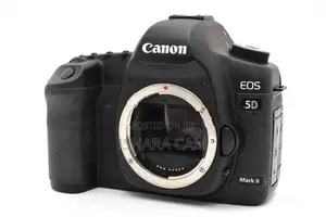 canon 5D mark 2 DSLR body with lens