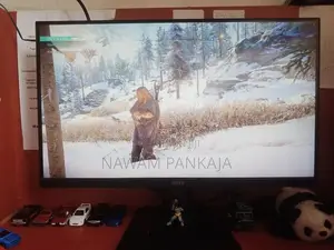 Assassin's Creed Valhalla PS4 Game
