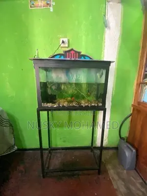 Fish Tank