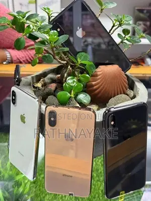 Apple iPhone XS 256GB 512GB (Used)