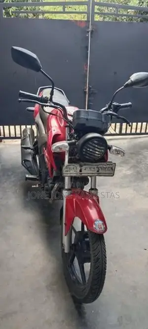 Yamaha SZX 2013