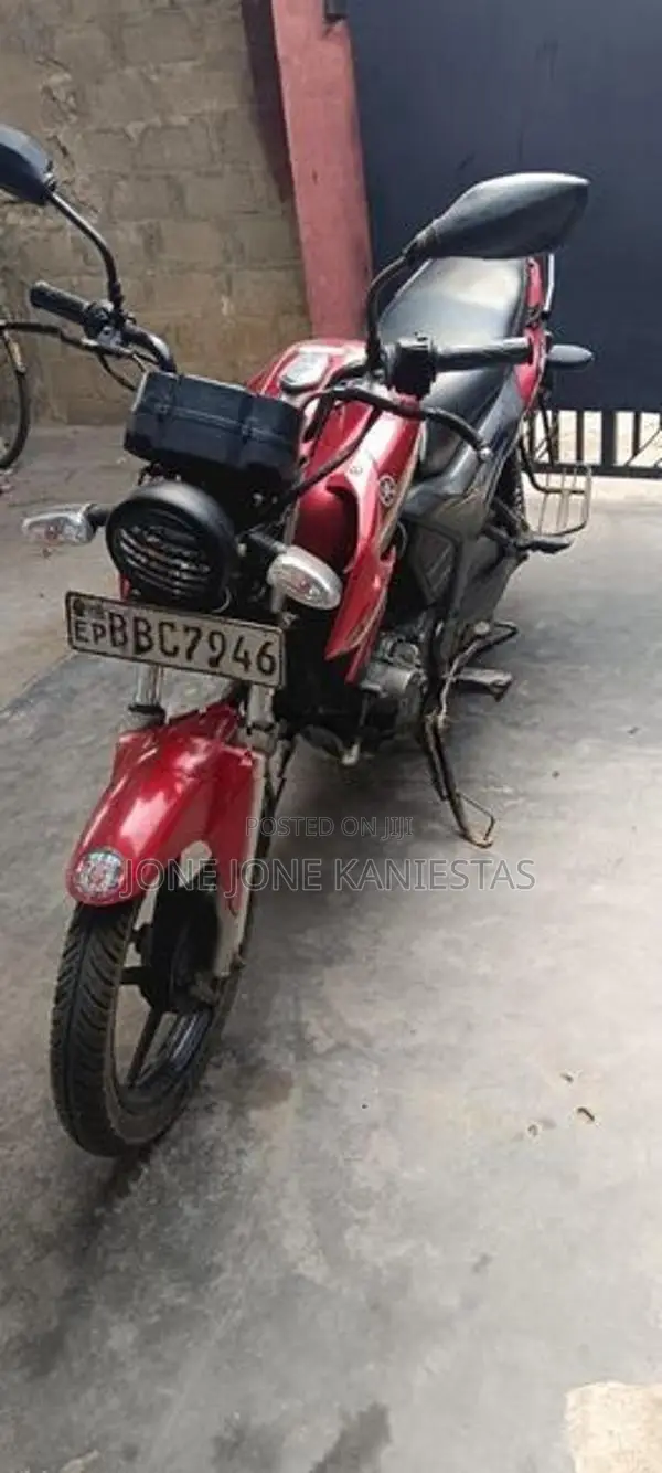 Yamaha SZX 2013