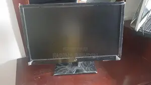 E-Wis 21" Monitor