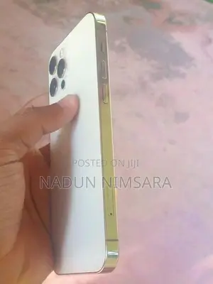 Apple iPhone 12 Pro (Used)