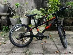 Raleigh Bicycle