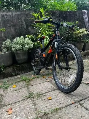 Raleigh Bicycle