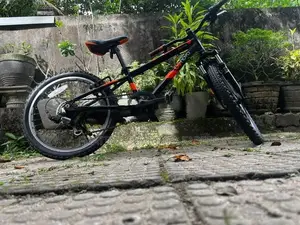 Raleigh Bicycle