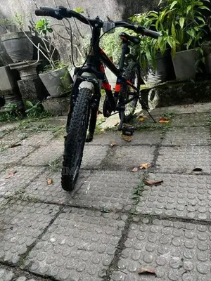 Raleigh Bicycle