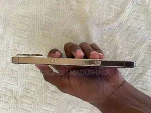 Apple iPhone 16 Pro Max (Used)