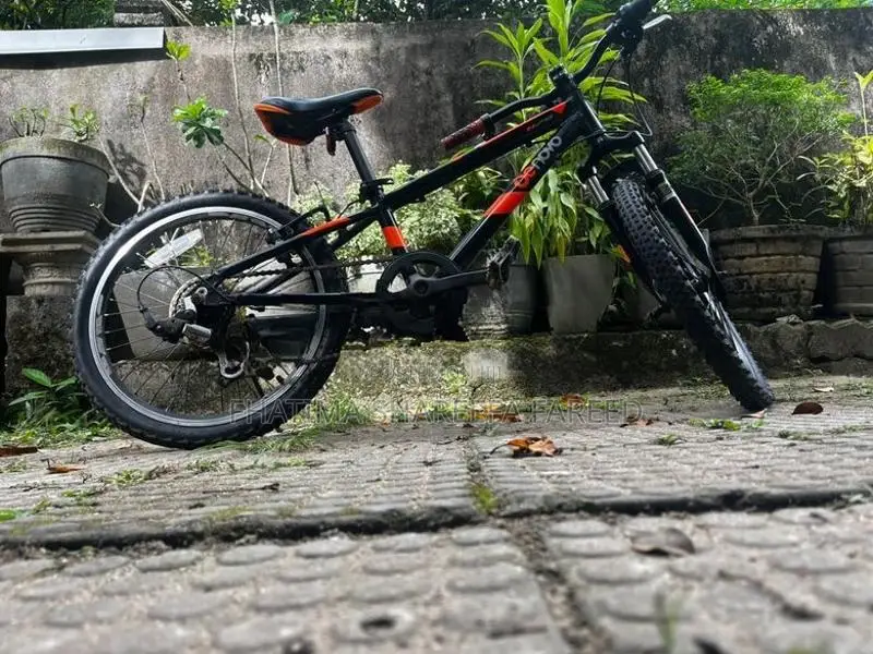 Raleigh Bicycle