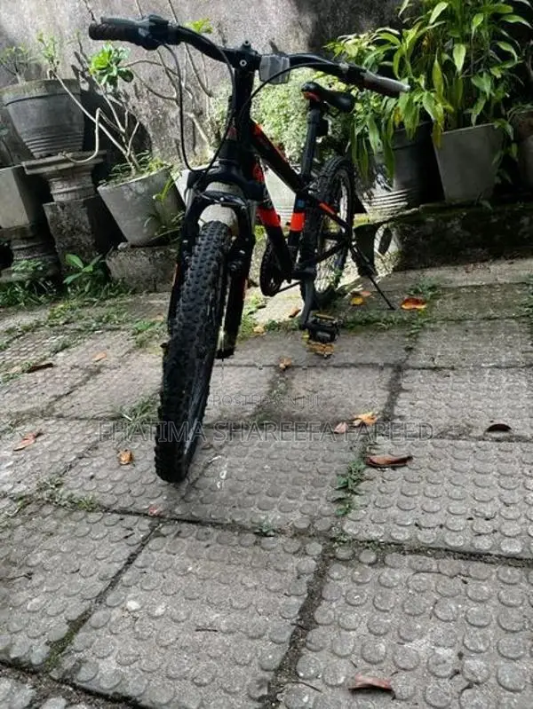 Mountain Bicycle