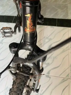 Mountain Bicycle