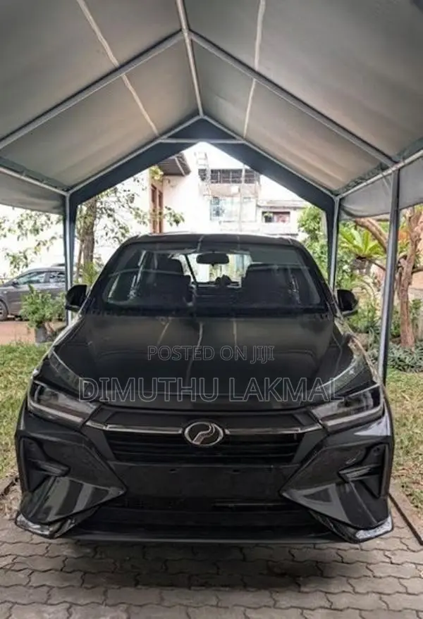 10 x 15 High-Quality Canopy