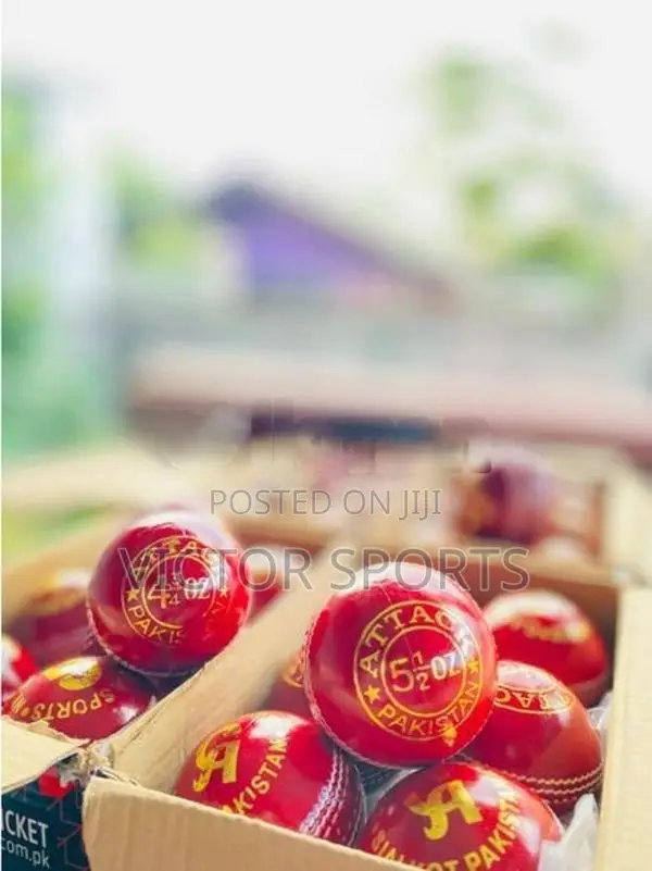 Cricket Leather Balls