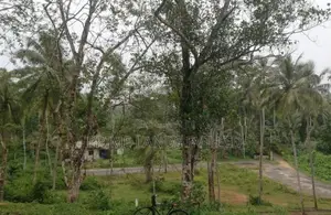 Land for Sale in Habaraduwa