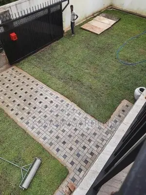 Interlock Bricks with Australian Carpet