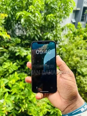 Apple iPhone 12 Pro (Used)