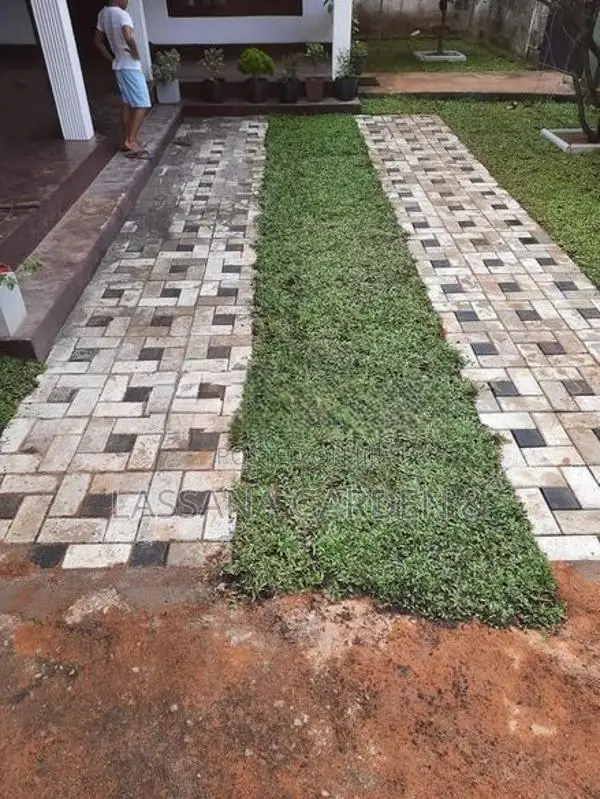 Interlock Bricks with Australian Carpet