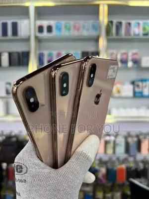 Apple iPhone XS Max (Used)