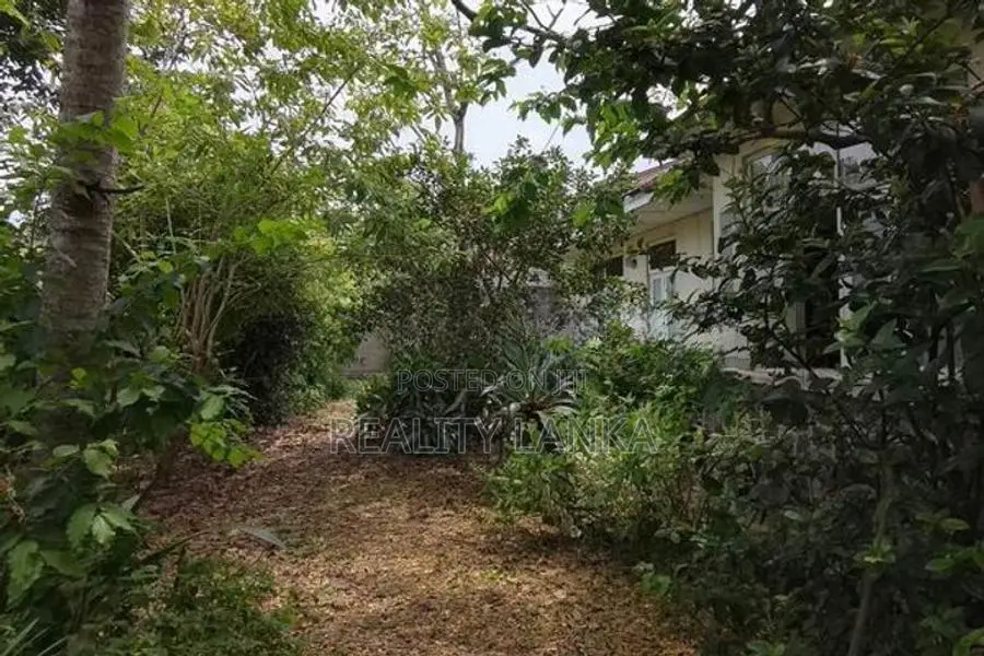 Land for Sale (BLF42) Mt.Lavinia