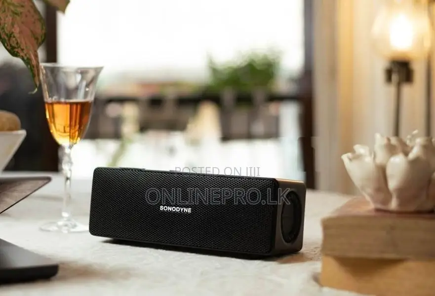 Sonodyne Portable Music Speaker
