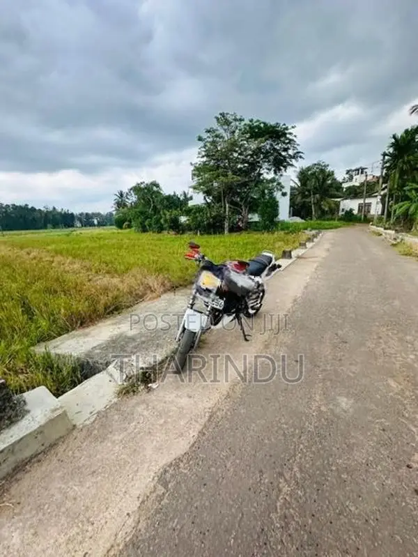 Yamaha TZR 125 2003