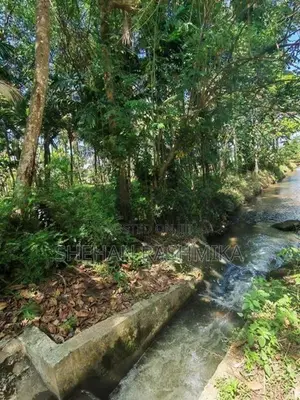 Land for Sale in Kumarigama