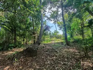 Land for Sale in Kumarigama