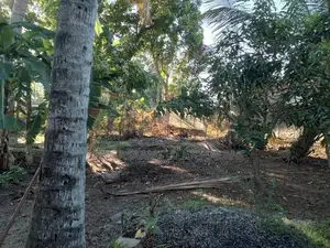 Land for Sale Ja Ela